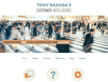 Tablet Screenshot of customerintelligence.net